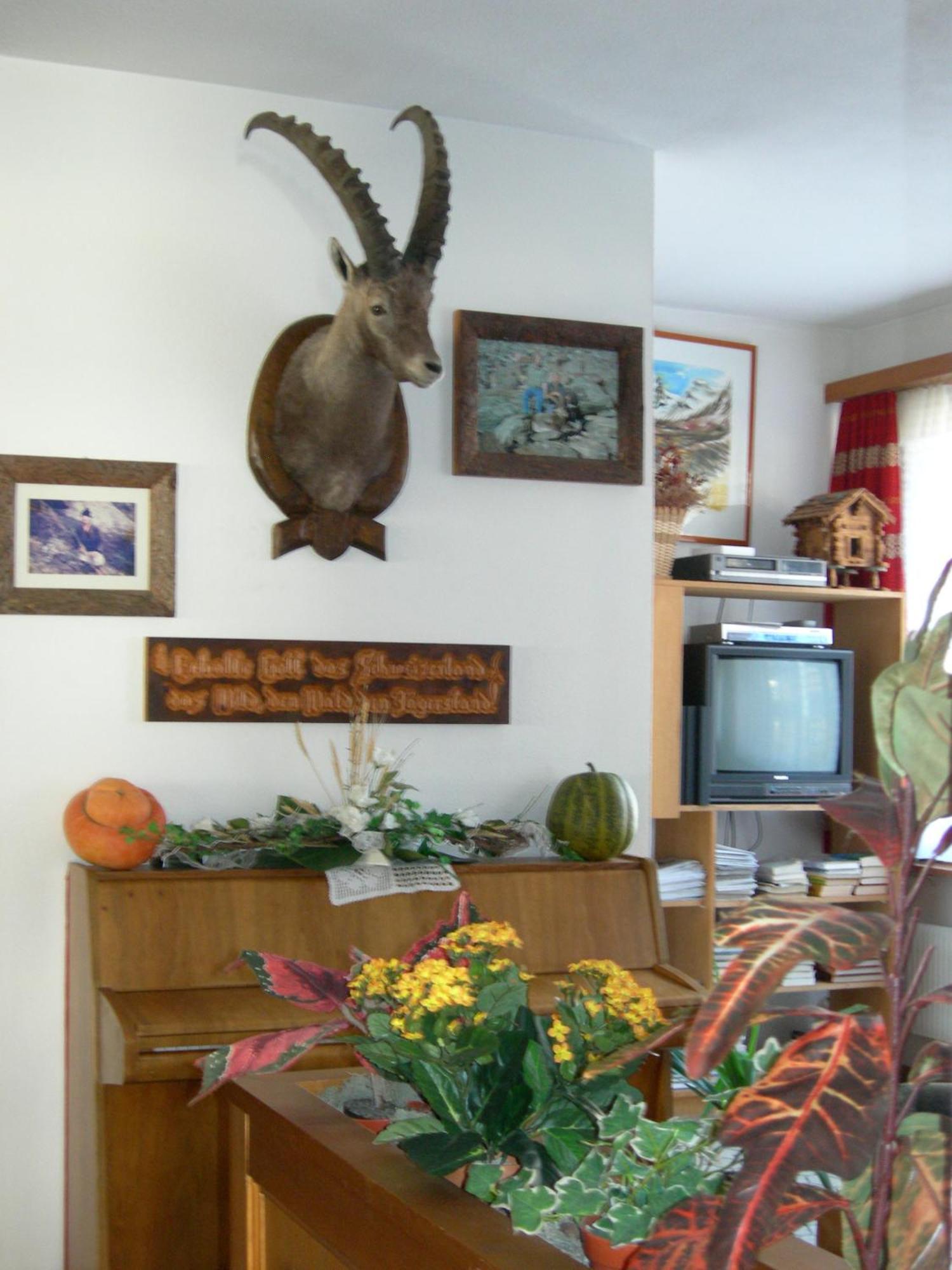 Hotel Adler Saas-Grund Zewnętrze zdjęcie