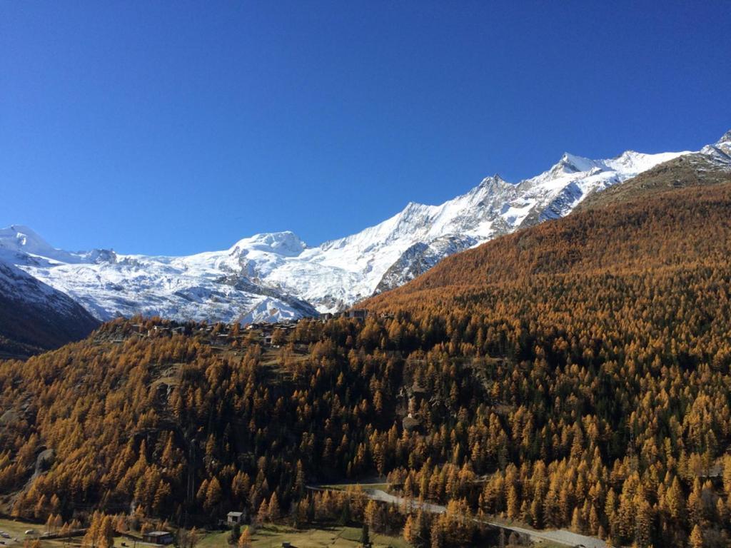 Hotel Adler Saas-Grund Zewnętrze zdjęcie
